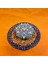 Astrophytum V-Cactus 3,5 cm Boyutunda Özel Tür Kaktüs 3