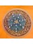 Astrophytum Asterias 5,5 cm Boyutunda Özel Tür Kaktüs 1