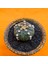 Astrophytum Asterias 5 cm Özel Tür Kaktüs 2