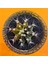 Gymnocalycium Mihanovichii 5,5 cm Boyutunda Özel Tür Kaktüs 1