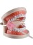 Süngerli Swab - Ağız ve Diş Bakım Çubuğu - 2 Adet 722090 3