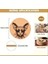 Kediler 6'lı Paket El Yapımı Kazınmış Cool Cat Korka Altılar 2