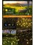 6 Led'li Güneş Enerjili Ateş Böceği Çiçek Lamba, 2'li Set, Beyaz Renk 3