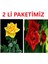 Sarı ve Kırmızı Yediveren Gül Fidanı Seti, Doğal Güzellikler Için Ideal Seçim 1