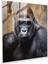 Gorilla Cam Tablo - Gerçekçi Yağlı Boya - Goril Modern Sanat Detaylı Portre Ev Dekorasyonu 1