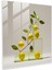 Modern Limon Ağacı Cam Sanatı - Limon Ağacı Modern Sanat Minimalist Heykel Ev Dekorasyonu 1