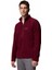 Fast Trek Iıı Half Zip Fleece Erkek Polar Üst 3