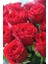 3 Adet Kırmızı Gül Fidanı, Kokulu, Açık Köklü, 1,5 Yaşında 4