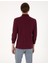 Erkek Bordo Slim Fit Kıvrılmaz Polo Yaka Basic Pike Sweatshirt 50314048-VR014 5