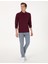 Erkek Bordo Slim Fit Kıvrılmaz Polo Yaka Basic Pike Sweatshirt 50314048-VR014 4