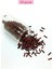 Uzun Boru Kesme Boncuk Çap 2mm Uzunluk 10 mm - 4 Renk - Toplam 80 Gram - BNC432 3