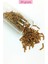 Uzun Boru Kesme Boncuk Çap 2mm Uzunluk 10 mm - 4 Renk - Toplam 80 Gram - BNC426 5