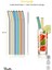 Straw 6'lı Renkli Cam Eğimli Isıya Dayanıklı (Borosilikat) Pipet ve 1 Adet Pipet Temizleme Fırçası 4