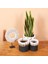 Mylamp Nevşehir Doğal Abaka 3 Lü Set Saksılık & Saklama Düzenleme 1