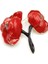 Gelincik Broş - Kırmızı 1