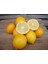 3 Yaş Aşılı Mayer Limon Fidanı 4