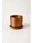Tabaklı Bronz Silindirik Çömlek Saksı 15X15 cm 2