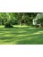 Lawn Art Gölge Alanlar için Çim Tohumu Karışımı 1 kg 4