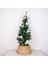 Mylamp Yılbaşı Ağacı Eteği 55X36X26 cm Doğal Su Sümbülü 2