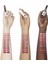 Ultra Suede® Lipstick - Mat Ruj Nikki (4 G) 2
