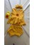 Sarı Ribana Kız Bebek-Çocuk Şort Bluz Bandana Babet Çorap Set 6-36 Ay 1