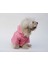 Kedi ve Köpek Kıyafeti & Elbisesi & Yağmurluğu - Pembe Kalp Baskılı Fileli Yağmurluk 1