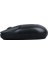 HL-21808 Siyah 1000 Dpı 2.4ghz Kablosuz Bluetooth Mouse 3