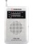 VS-R115 Analog Radyo Gümüş Renk 1