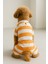 Kedi ve Köpek Kıyafeti & Elbisesi - 4 Bacak Tulum Turuncu Beyaz Çizgili 1