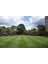 Lawn Art GENERAL MIX Konut ve Park Alanları için Çim Tohumu Karışımı 1 kg 3