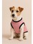 Yeni Sezon Köpek ve Kedi Kıyafeti & Elbisesi - Pembe Take Me Out (Beni Dışarı Çıkar) 2