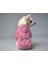 Kedi ve Köpek Kıyafeti & Elbisesi - Pembe Hoodie Queen 1