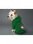 Kedi ve Köpek Kıyafeti & Elbisesi - Yeşil Hoodie Ters Noel 2