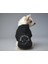 Kedi ve Köpek Kıyafeti & Elbisesi - Siyah Hoodie Beni Siz Delirttiniz 1