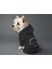 Kedi ve Köpek Kıyafeti & Elbisesi - Siyah Hoodie Beni Siz Delirttiniz 2