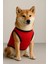 Yeni Sezon Köpek ve Kedi Kıyafeti - Kırmızı Kalpli 2