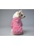 Kedi ve Köpek Kıyafeti & Elbisesi - Pembe Hoodie Angel 1