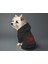 Kedi ve Köpek Kıyafeti & Elbisesi - Siyah Hoodie Örümcek 2