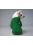 Kedi ve Köpek Kıyafeti & Elbisesi - Yeşil Hoodie Ayı Cep 1