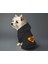 Kedi ve Köpek Kıyafeti & Elbisesi - Siyah Hoodie Super Paw 2