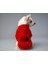 Kedi ve Köpek Kıyafeti & Elbisesi - Kırmızı Hoddie The Dog Face 1