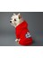 Kedi ve Köpek Kıyafeti & Elbisesi - Kırmızı Hoodie King 2