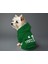 Kedi ve Köpek Kıyafeti & Elbisesi - Yeşil Hoodie Vektör Timsah 1