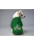 Kedi ve Köpek Kıyafeti & Elbisesi - Yeşil Hoodie Pawsitive Vibes 1