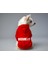 Kedi ve Köpek Kıyafeti & Elbisesi - Kırmızı Hoodie Security 1