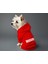 Kedi ve Köpek Kıyafeti & Elbisesi - Kırmızı Hoodie Security 2
