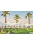 Lawn Art SEASIDE MIX Yazlıklar için Çim Tohumu Karışımı 1 kg 4