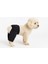 Kedi ve Köpek Kıyafeti & Elbisesi - Siyah Beyaz Çizgili Pantolon 1