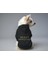 Kedi ve Köpek Kıyafeti & Elbisesi - Siyah Hoodie Pucci 1