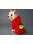 Kedi ve Köpek Kıyafeti & Elbisesi - Kırmızı Hoodie Smile 2